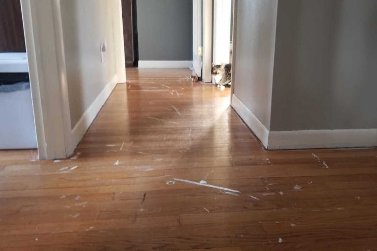 Paint splatter on hardwood floors before cleanup and paint removal