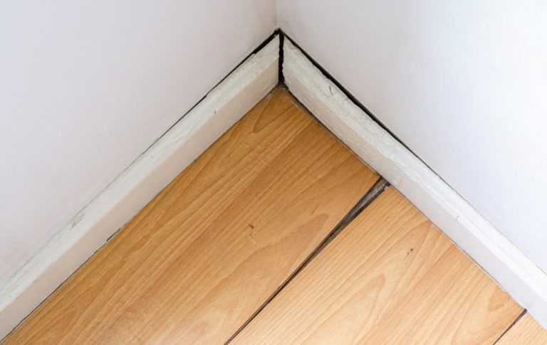 Gaps between hardwood floor boards near wall caused by moisture and shrinkage