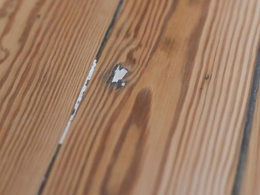 Hardwood floor damage needing restoration showing finish loss and exposed worn areas before refinishing