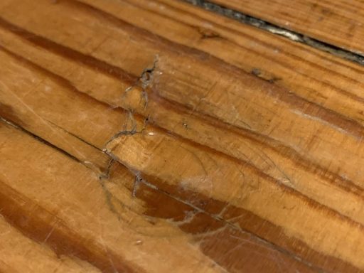 Cracked and worn wood stair tread showing damage that may require refinishing