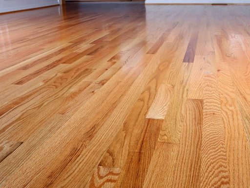 Engineered hardwood floor ready for screen and recoat showing a sound surface that can be renewed without full sanding