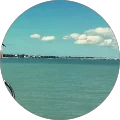 Lindsey Davis Barnes Avatar