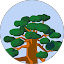 George Clark Avatar